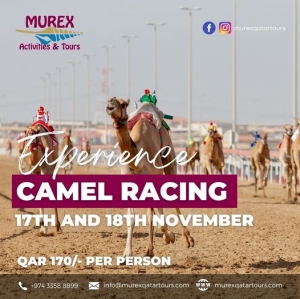 Racing Across the Sands: The Thrilling World of Camel Racing in Qatar